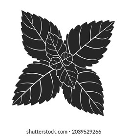 Mint leaf black vector icon.Black vector illustration fresh peppermint. Isolated illustration of mint leaf icon on white background.