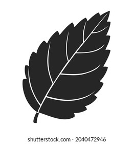 Mint leaf black vector icon.Black vector illustration fresh peppermint. Isolated illustration of mint leaf icon on white background.