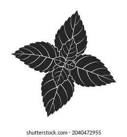 Mint leaf black vector icon.Black vector illustration fresh peppermint. Isolated illustration of mint leaf icon on white background.