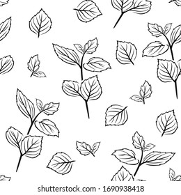 Mint leaf black and white seamless pattern. Herb outline vector illustration. Simple Botanical background. Twigs and leaves of peppermint.