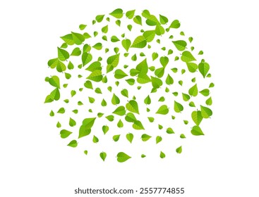 Mint Leaf Blur Vector White Background Concept. Wind Greens Wallpaper. Green Foliage Fresh Backdrop. Leaves Realistic Plant.