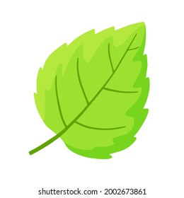 Mint leaf. Cool spice. Refreshment and freshness. Green part of the plant. Flat cartoon illustration isolated on white