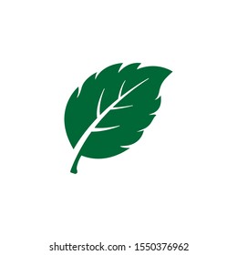 Mint Leaf Element Vector Icon. Green Mint Leaves Vector Symbol