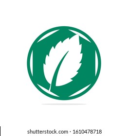 mint leaf element vector icon. green mint leaves vector logo.	