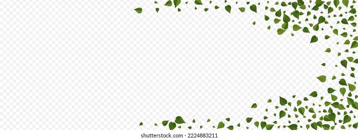 Mint Leaf Forest Vector Panoramic Transparent Background Border. Flying Leaves Banner. Olive Greens Abstract Illustration. Foliage Realistic Branch.