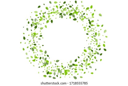 Mint Leaf Forest Vector Poster. Realistic Leaves Design. Green Foliage Organic Wallpaper. Greens Abstract Template.