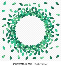 Mint Leaf Forest Vector Transparent Background Pattern. Falling Foliage Poster. Green Greens Fresh Plant. Leaves Blur Template.