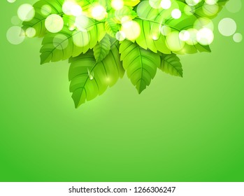 Mint leaf fresh green background pattern. Peppermint wallpaper organic freshdesign.
