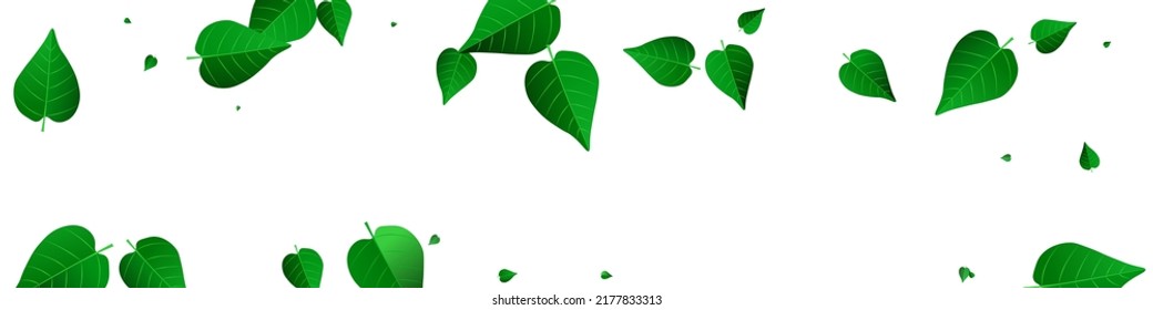 Mint Leaf Fresh Vector Panoramic White Background Illustration. Flying Foliage Wallpaper. Grassy Leaves Swirl Template. Greens Ecology Branch.