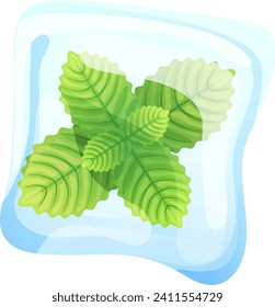 Mint leaf frozen in transparent ice block, concept realistic delicious iced sheet peppermint icon cartoon vector illustration, isolated on white. Natural organic foliage, grass herb.
