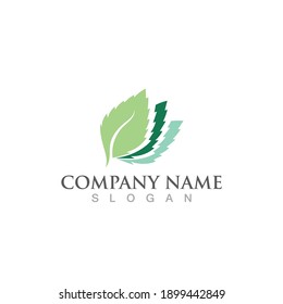 Mint Leaf Green Fresh Logo Design