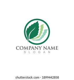 mint leaf green fresh logo design