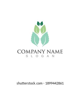 mint leaf green fresh logo design