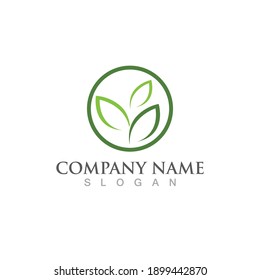 diseño de logotipo fresco verde de hoja de menta