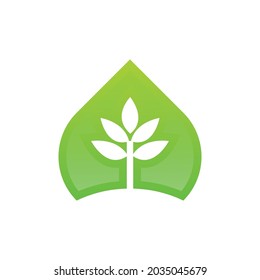 mint leaf green fresh logo design
