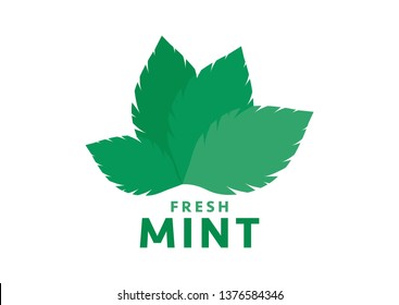 Mint leaf green plants,Mint logo  isolated on white background.Vector illustration