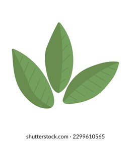 Mint leaf green vector illustration set. Mint logo vector