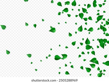 Mint Leaf Herbal Vector Transparent Background Branch. Motion Greens Poster. Grassy Leaves Transparent Plant. Foliage Blur Border.