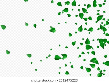 Mint Leaf Herbal Vector Transparent Background Branch. Motion Greens Poster. Grassy Leaves Transparent Plant. Foliage Blur Border.