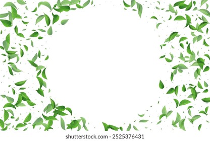 Mint Leaf Herbal Vector White Background Illustration. Nature Leaves Branch. Green Greens Tree Brochure. Foliage Motion Border.