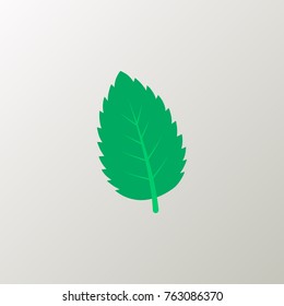 mint leaf icon flat isolated on clean background peppermint mint leaf icon concept sign for your web site, mobile, logo, app and ui design mint leaf icon vector illustration