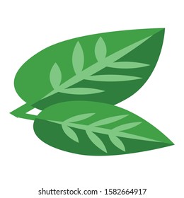 Mint leaf icon. Isometric of mint leaf vector icon for web design isolated on white background