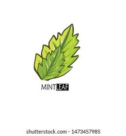 Mint leaf icon for a logo or food and candy design