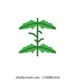 Mint leaf icon. Simple color vector elements of botanicals icons for ui and ux, website or mobile application
