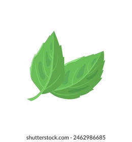 Mint leaf icon. Vector flat simple illustration of green mint leaves.