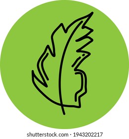 Folha de hortelã, ilustração, vetor em um fundo branco