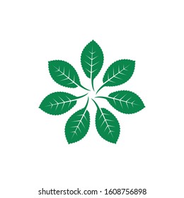 mint leaf illustration vector template design