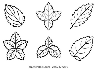 Mint Leaf Line Art Elegant Drawing for Unique Design Print