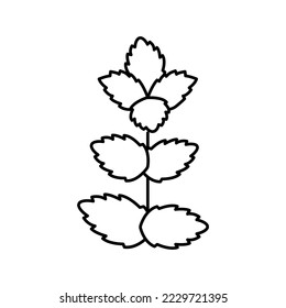 mint leaf line icon vector. mint leaf sign. isolated contour symbol black illustration