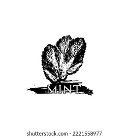 mint leaf logo design on black and white background