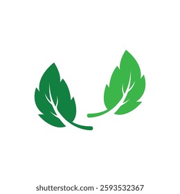Mint leaf logo icon illustration design