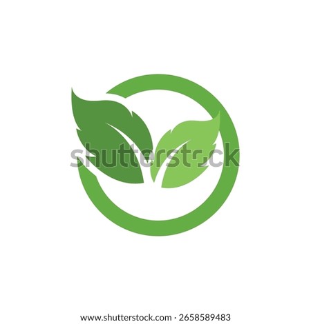 Mint leaf logo icon illustration design