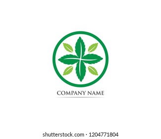 Mint leaf logo and symbol 