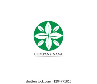 Mint leaf logo and symbol 