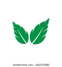 mint leaf logo template design