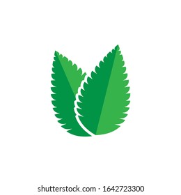 mint leaf logo template design
