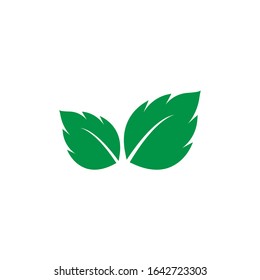 mint leaf logo template design