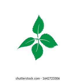 mint leaf logo template design