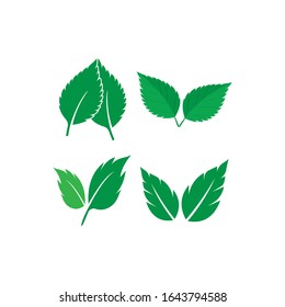 mint leaf logo template design
