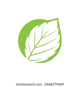 Mint leaf logo vector element template and symbol