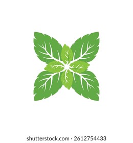 Mint leaf logo vector element template and symbol