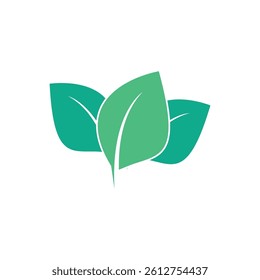Mint leaf logo vector element template and symbol