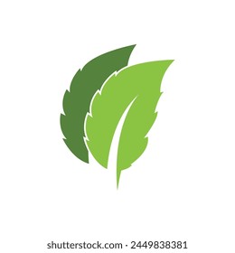 Mint leaf logo vector template symbol design