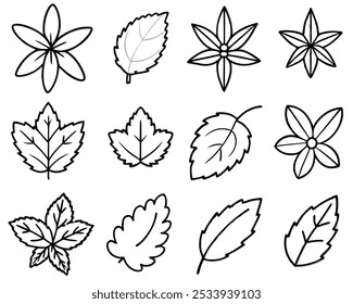 Mint Leaf Minimalist Line Art Icon