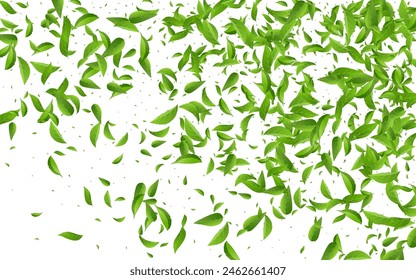 Mint Leaf Motion Vector White Background Banner. Tea Greens Template. Grassy Leaves Forest Poster. Foliage Nature Branch.