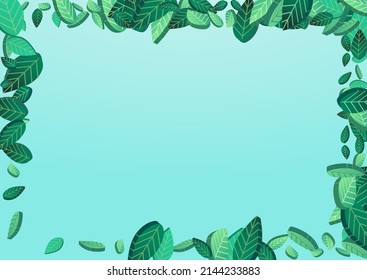 Mint Leaf Nature Vector Blue Background Background. Realistic Greens Plant. Lime Foliage Tree Border. Leaves Organic Wallpaper.